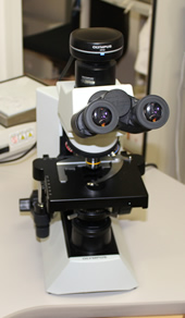 システム生物顕微鏡（光学顕微鏡）